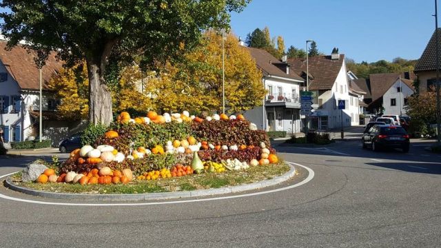Bild 27