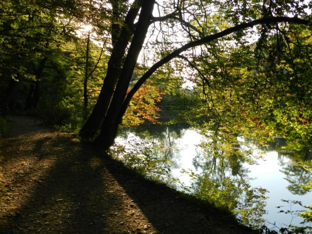 Bild 46