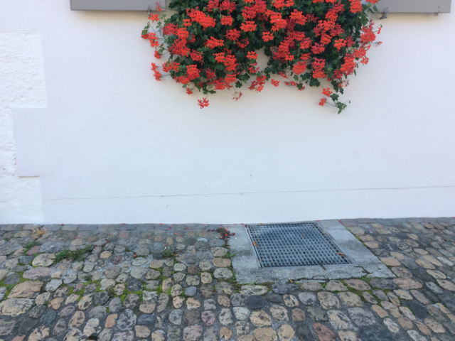 Bild 71