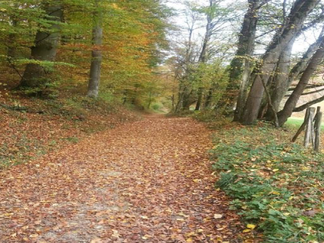 Bild 72a
