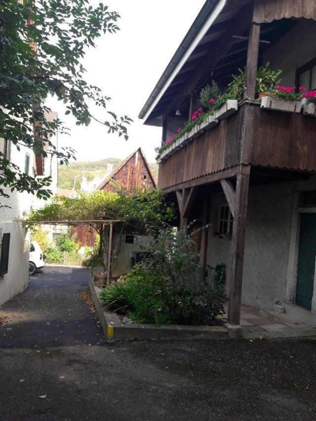 Bild 19