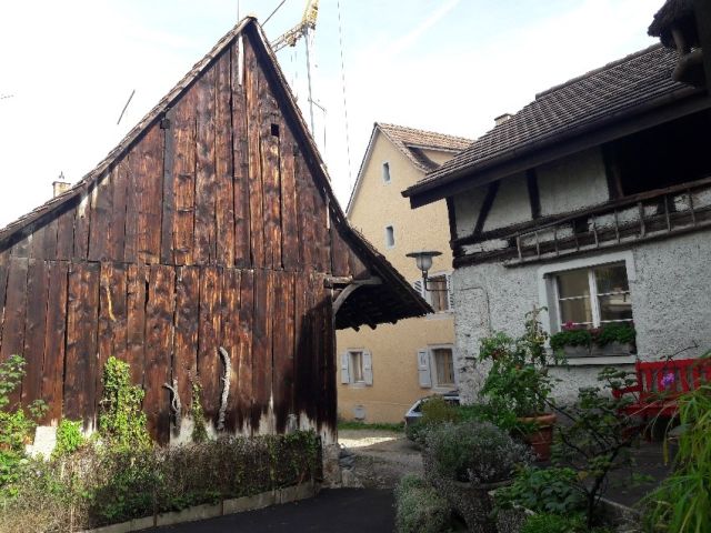 Bild 21