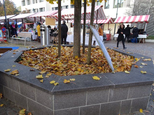 Bild 31