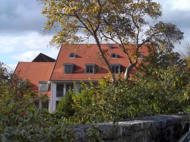 Bild 37