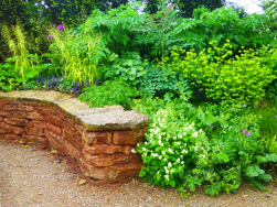 Ein Beispiel für einen naturnahen Garten in Arlesheim