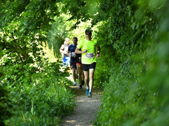 Veranstaltungsbewilligung im Wald