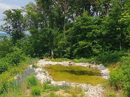 Dorfspaziergang im Juli zum Thema Wasser