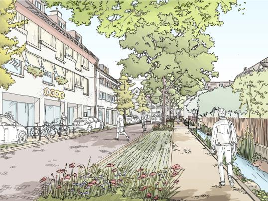 Aus dem Vorprojekt «Erneuerung Ermitagestrasse»